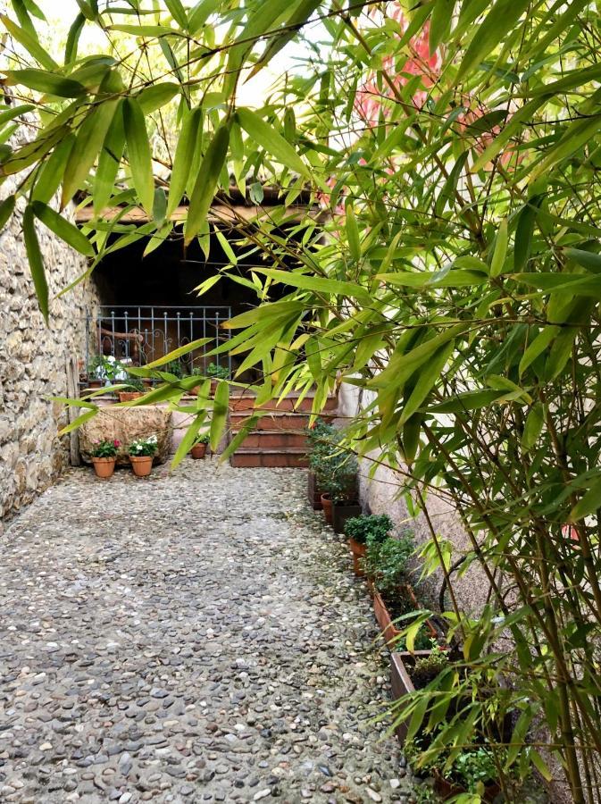 La Posada De Lola El Molar Exteriör bild